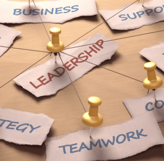 Leadership coaching